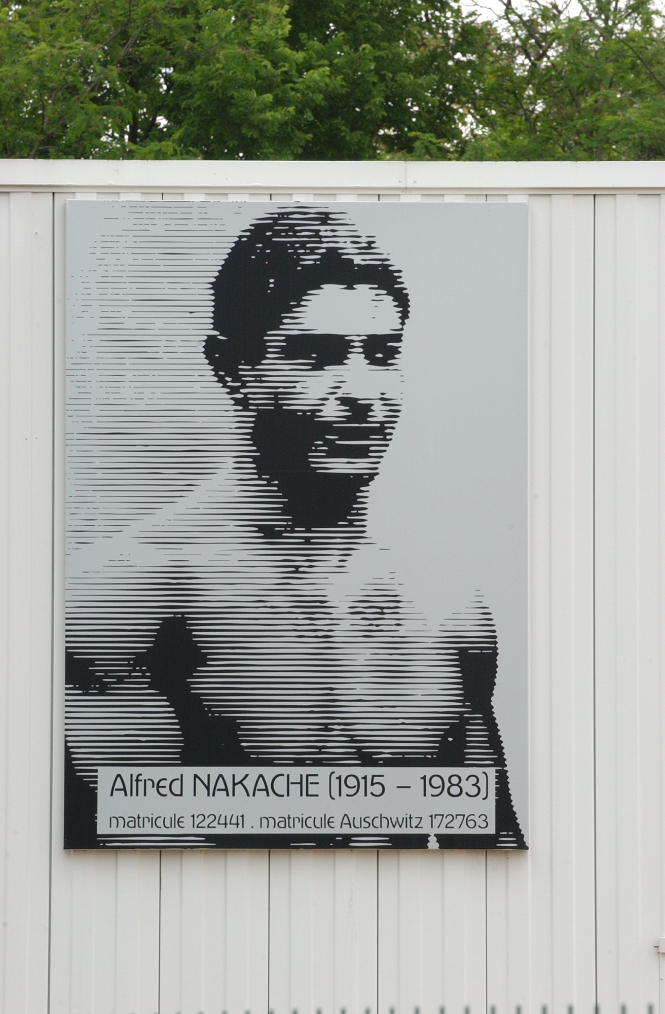 Piscine Alfred Nakache