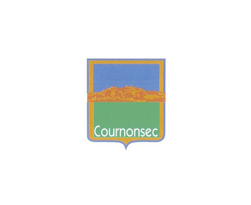 Logo Cournonsec