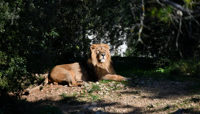 Zoo de Montpellier