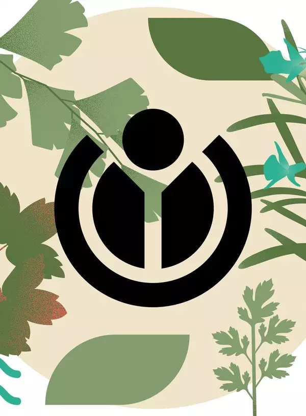 1f9703a0d9ae45c793fd66dc1b986544_2026-08-05_18-35-06.JPEG 1f9703a0d9ae45c793fd66dc1b986544_2026-08-05_18-35-06.JPEG