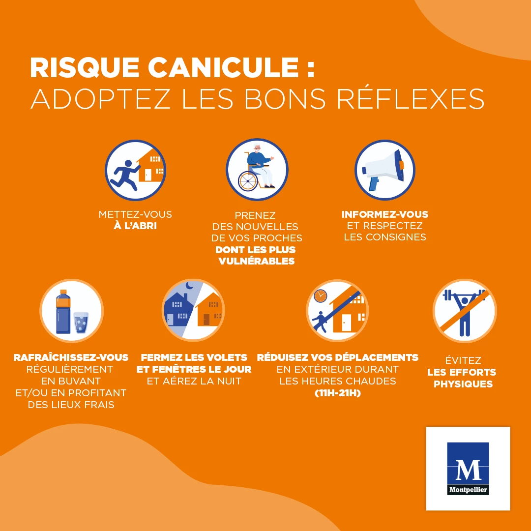 Risque canicule : adoptez les bons réflexes