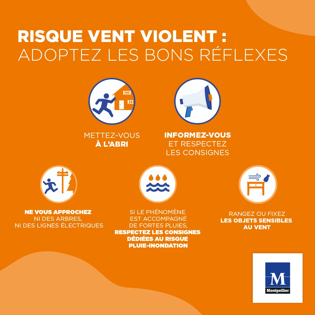 Risque vent violent : adoptez les bons réflexes