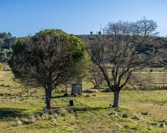 Murviel-lès-Montpellier