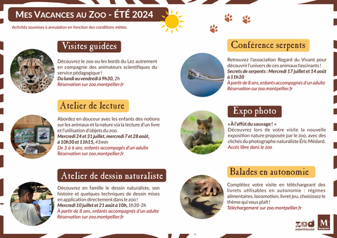 Programme des vacances d'été 2024 au zoo de Montpellier
