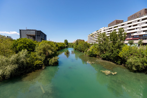 Restriction des usages du Lez et de ses berges à partir du 7 juillet 2023