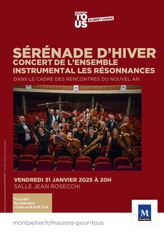 Concert du nouvel an de l'ensemble instrumental les Résonances