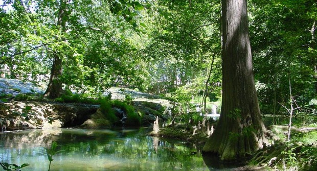 Récolte de mégots le long des berges du Lez